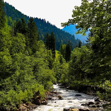 Restaurant Simplon Frutigen