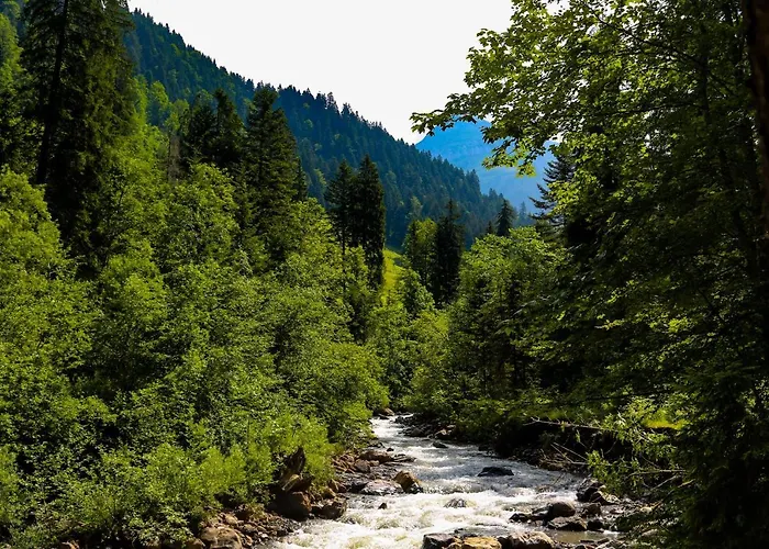 Restaurant Simplon פרוטיגן